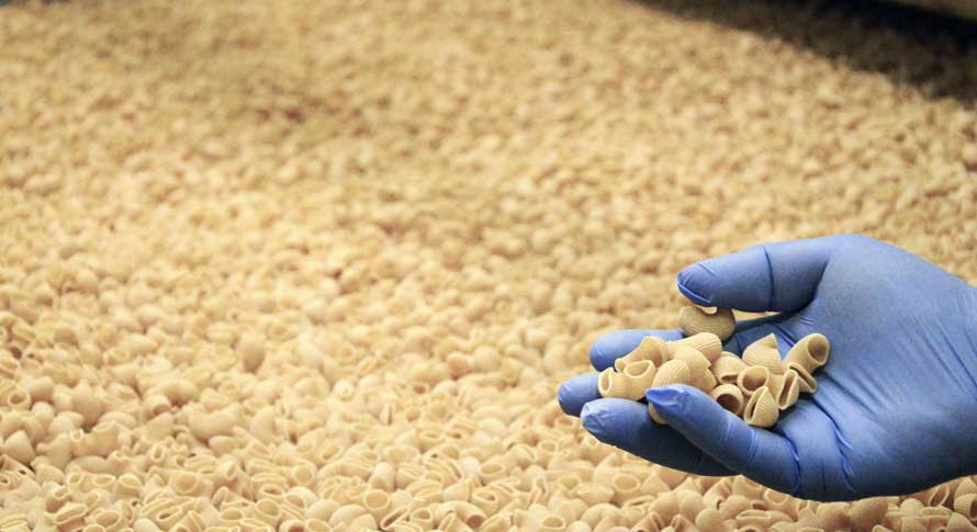 Iris cooperativa agricola - Pulmino Contadino