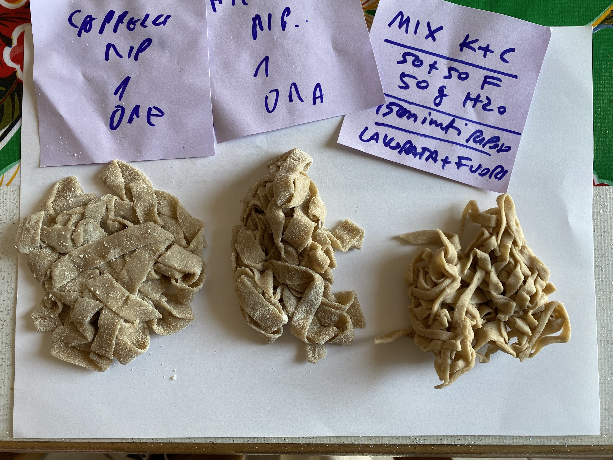 Tagliatelle Khorasan e Senatore Cappelli - pasta fresca fatta a mano - Pulmino Contadino