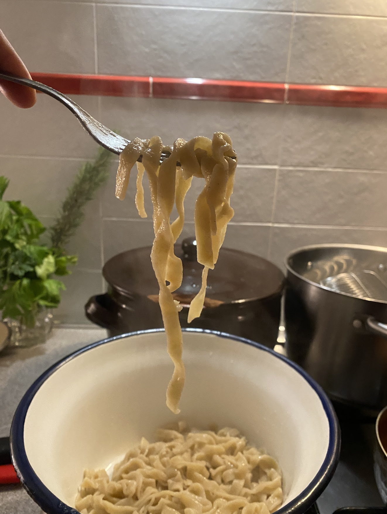 Tagliatelle Khorasan e Senatore Cappelli - pasta fresca fatta a mano - Pulmino Contadino