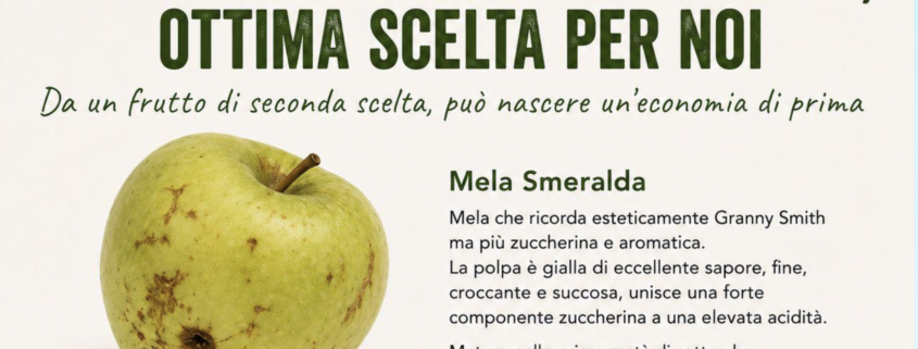 Buono Dentro campagna contro lo spreco alimentare