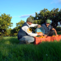 Azienda agricola Borsellino - arance di Ribera - Pulmino Contadino