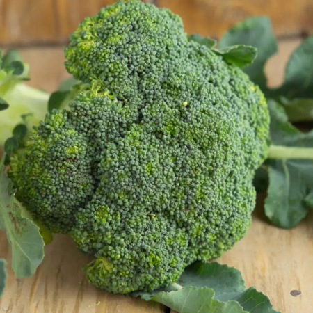 Broccoli - Pulmino Contadino