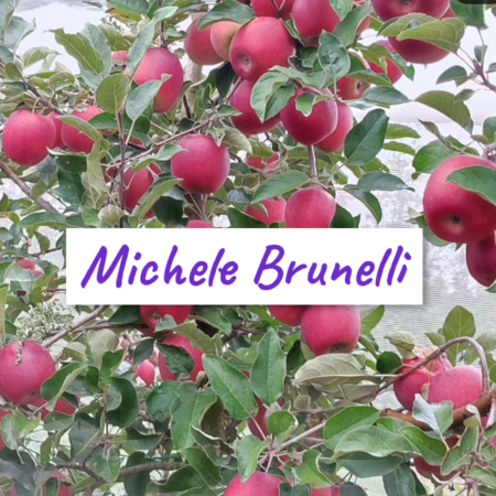 Michele Brunelli produttore di mele per Pulmino Contadino