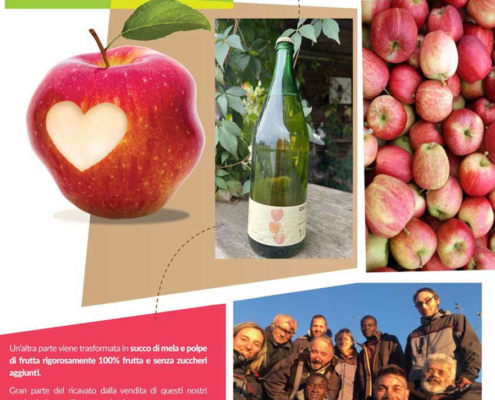 Buono Dentro - Pulmino Contadino