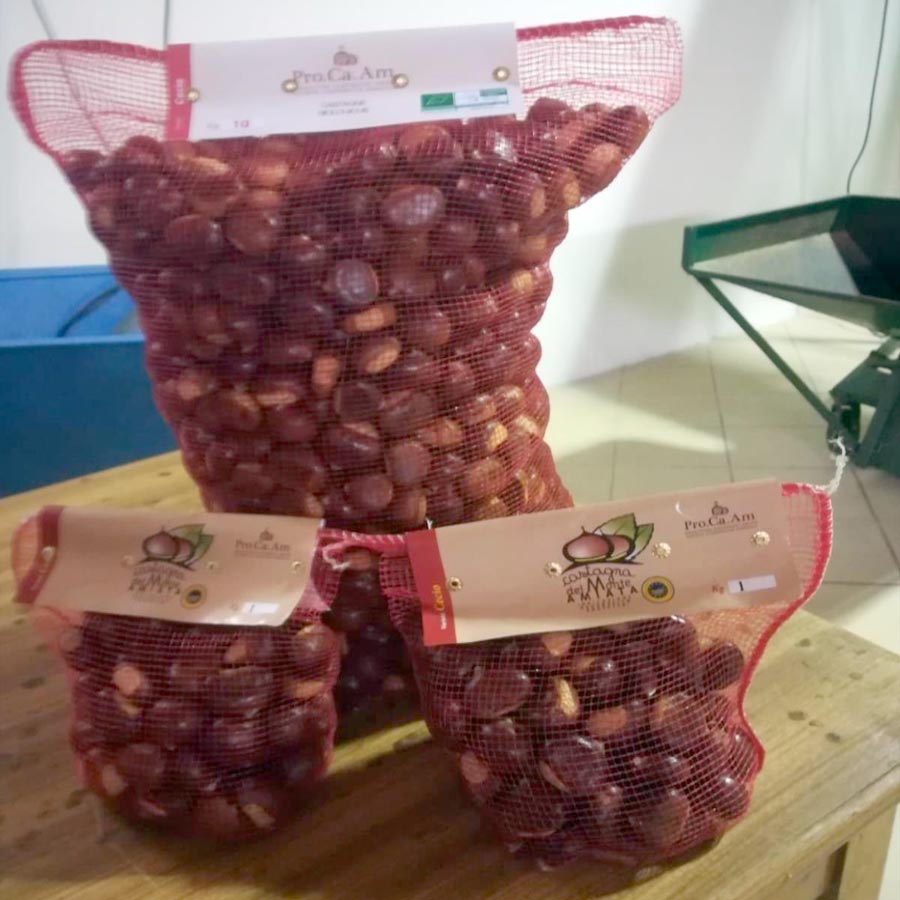 Castagna del Monte Amiata IGP - Produttori castagne Amiata (Pro.Ca.Am)- Pulmino contadino
