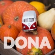 Dona per nuovo pulmino - Pulmino contadino