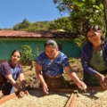 Caffè Effe Tatawelo, Guatemala - commercio equo e solidale - Pulmino Contadino