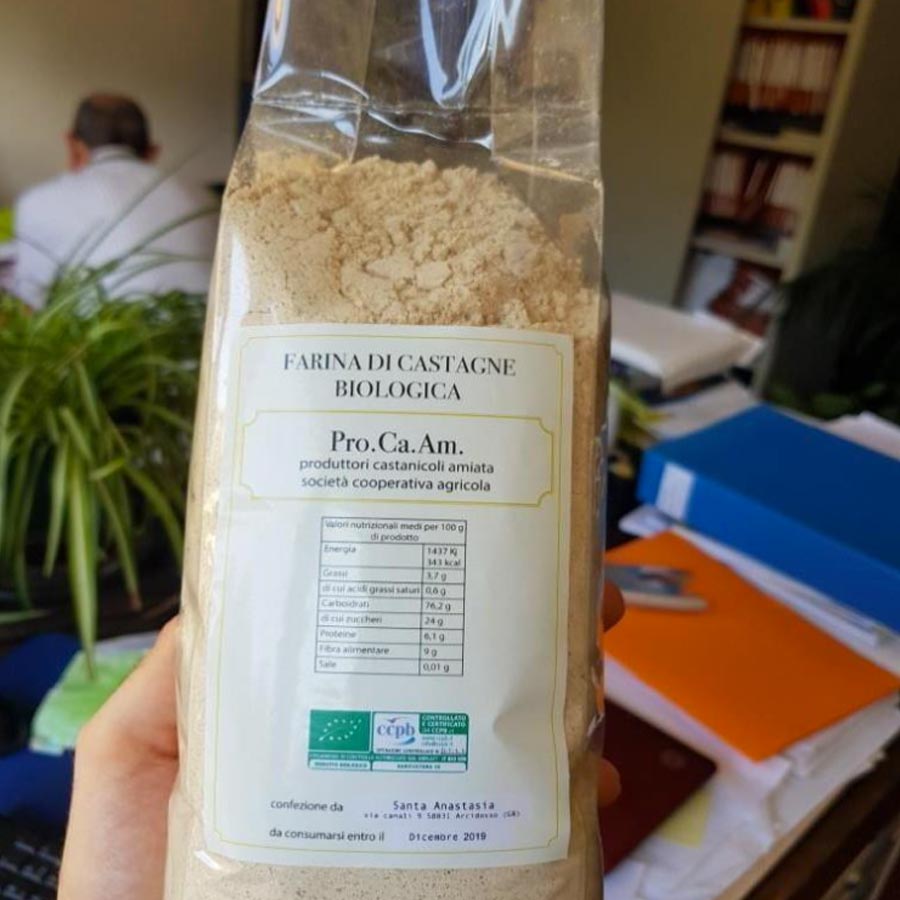 Farina di Castagna del Monte Amiata IGP - Produttori castagne Amiata (Pro.Ca.Am)- Pulmino contadino