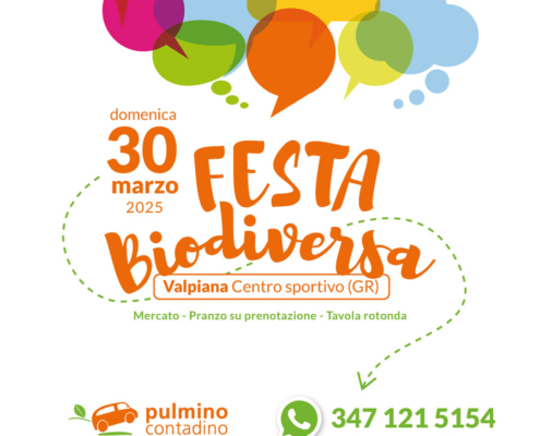 Festa del Pulmino domenica 30 marzo Valpiana (GR) - Mercato, pranzo su prenotazione, tavola rotonda
