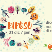 Pulmino contadino - riposo dal 31 dic al 7 gen