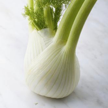 Finocchio - Pulmino Contadino