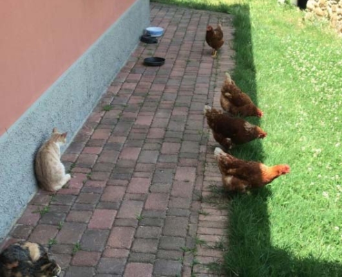 Visita azienda Gozzuto - Giulio Franzoni - Gavorrano Grosseto