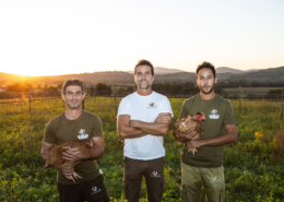 Le Solaie: allevamento di polli e faraone a pascolo libero - Pulmino Contadino