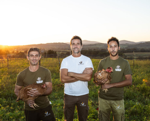 Le Solaie: allevamento di polli e faraone a pascolo libero - Pulmino Contadino