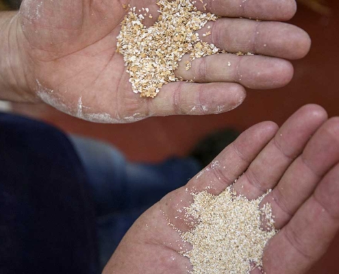 Le Pietre produce farine, pasta, pane da grani antichi - Pulmino Contadino