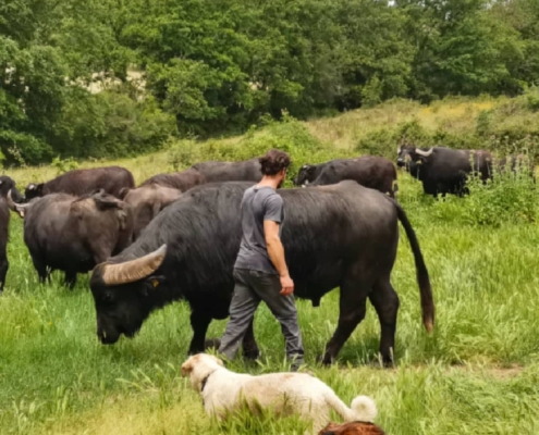 Riccardo de Le Sorgenti Bio a Civitella Paganico (Gr), produttore del Pulmino Contadino