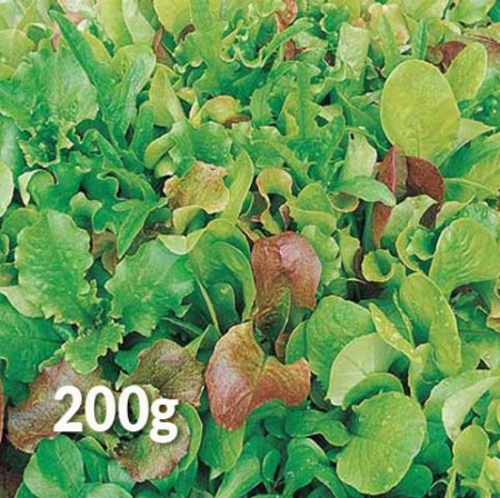 Misticanza 200g da agricoltura senza chimica di sintesi - Pulmino Contadino