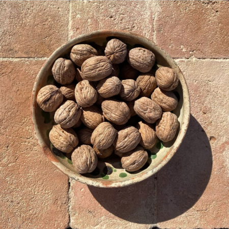 Tenuta del Noce - Pulmino Contadino