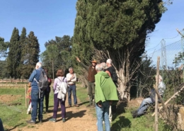 Orto Le Venaie - Roccastrada (Grosseto) - Pulmino Contadino