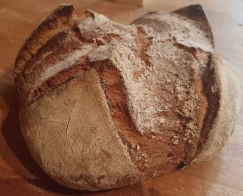 "Pane Khorasan" del panificio Le Pietre con "farina Khorasan" Le Pietre - Pulmino Contadino