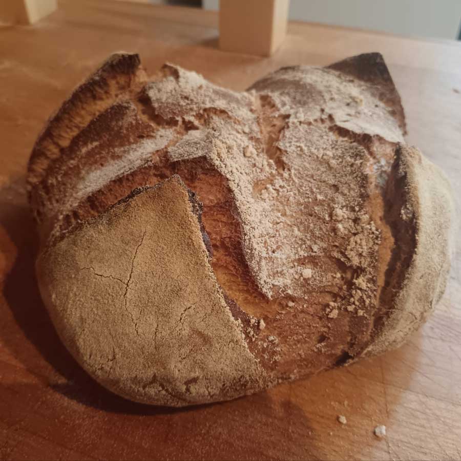 "Pane Khorasan" del panificio Le Pietre con "farina Khorasan" Le Pietre - Pulmino Contadino