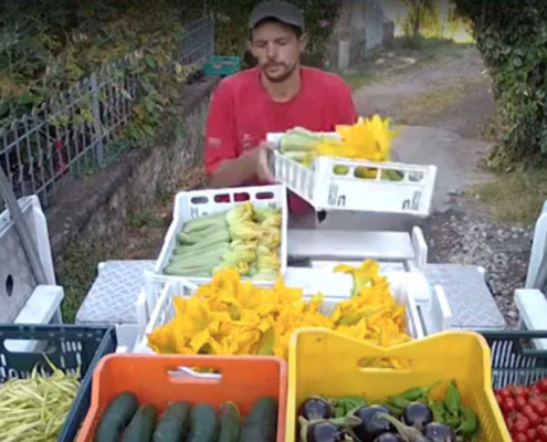 Il Panierino - Pulmino Contadino