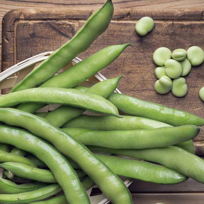 Baccelli da agricoltura senza chimica di sintesi - Pulmino Contadino