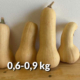 Zucca Butternut da agricoltura senza pesticidi - Pulmino Contadino