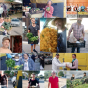 Pulmino Contadino - diventa socio 2022