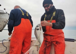 San Leopoldo, Coop di pescatori - Grosseto - Produttrice del Pulmino Contadino