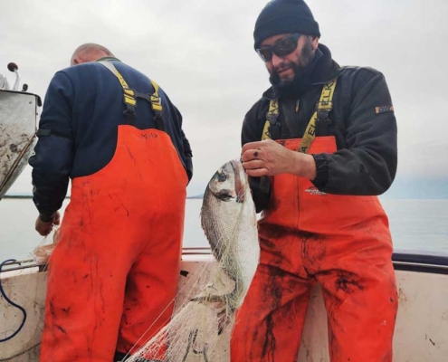San Leopoldo, Coop di pescatori - Grosseto - Produttrice del Pulmino Contadino