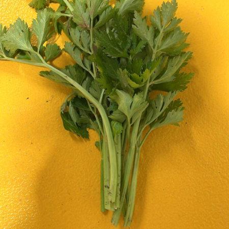 Sedano - Pulmino Contadino