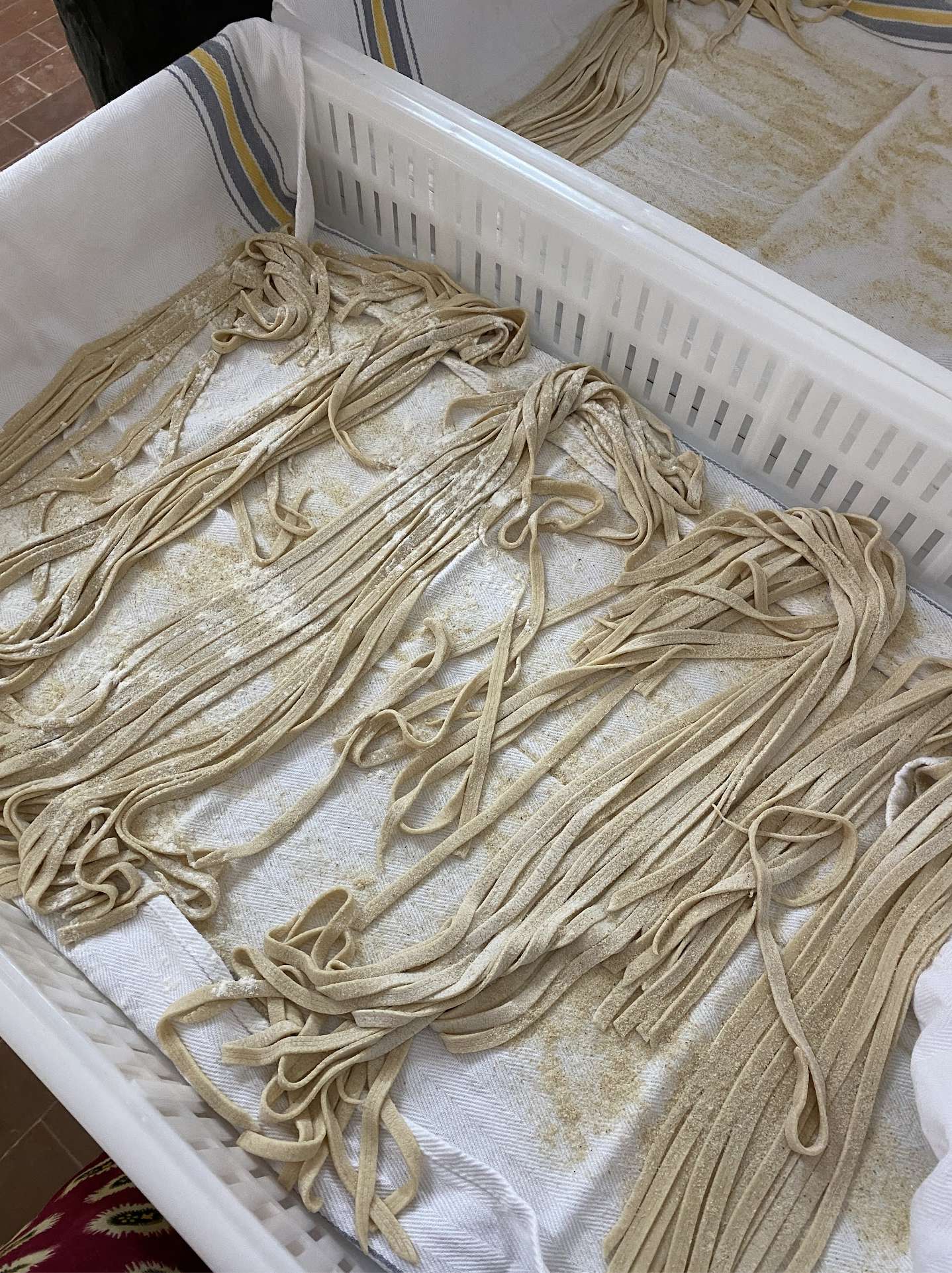 Tagliatelle Khorasan e Senatore Cappelli - pasta fresca artigianale - Pulmino Contadino