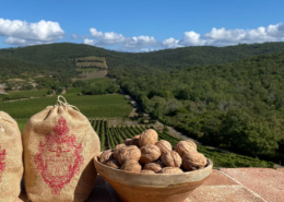 Tenuta del Noce San Giovanni in Persiceto (BO) - Pulmino Contadino