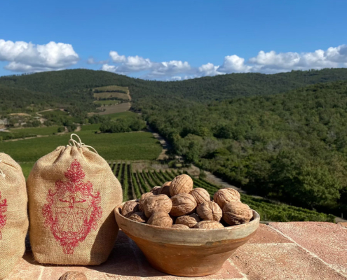 Tenuta del Noce San Giovanni in Persiceto (BO) - Pulmino Contadino