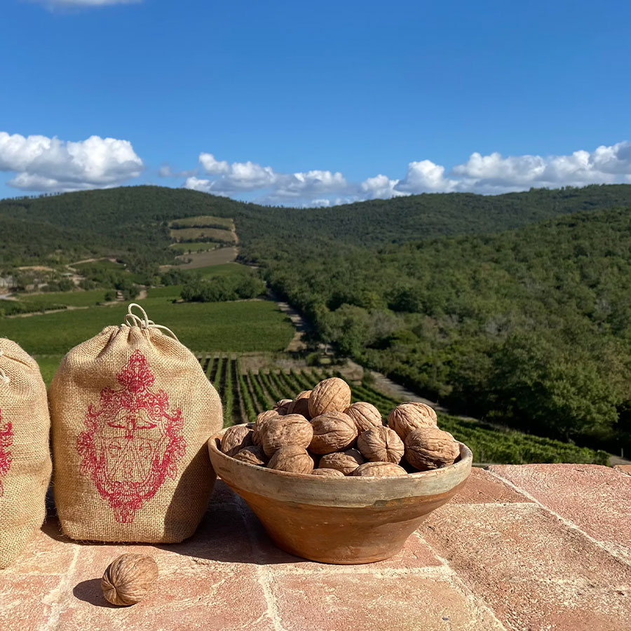 Tenuta del Noce San Giovanni in Persiceto (BO) - Pulmino Contadino