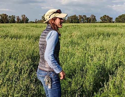 tenuta San Carlo - Pulmino contadino