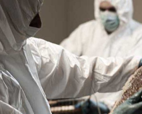 THC - miele del carcere massa marittima - pulmino contadino