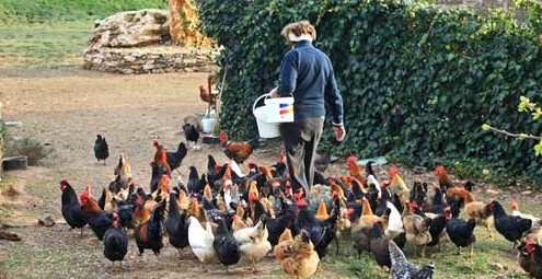 Il Tosteto az. agricola Pitigliano