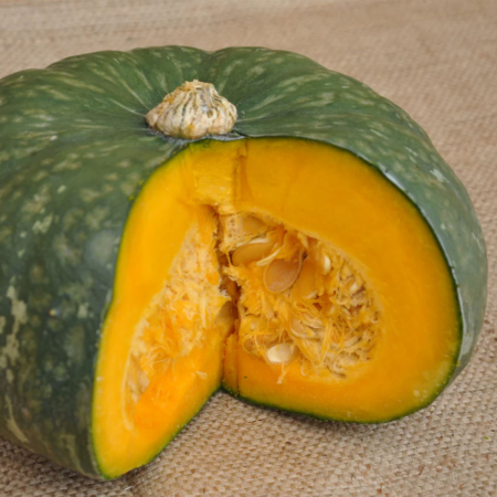 Zucca verde da agricoltura senza pesticidi - Pulmino Contadino